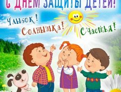 img (7)